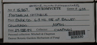 Image Associated With the Occurence